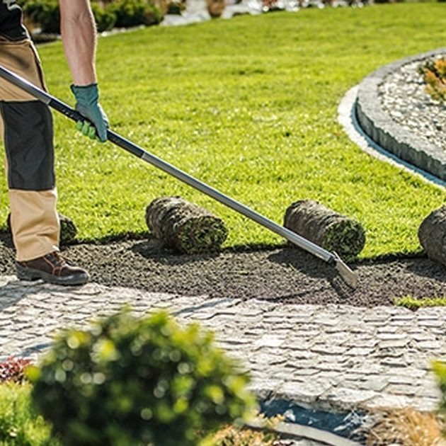 Devo Contratar uma Empresa para Cuidar do Meu Jardim?